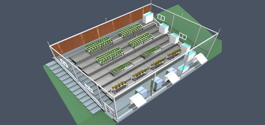 植物组培实验室